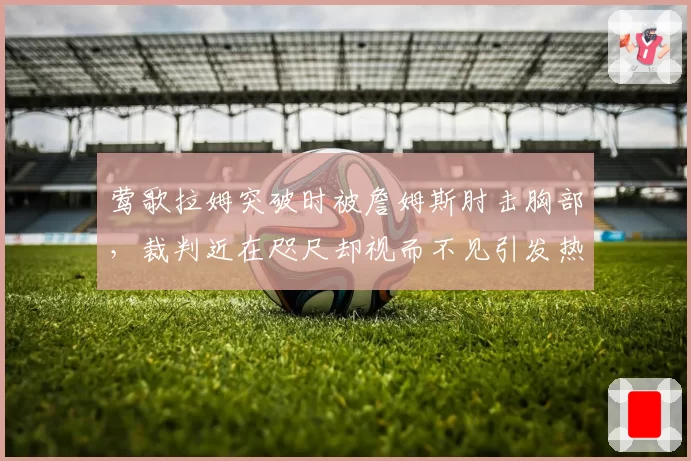 莺歌拉姆突破时被詹姆斯肘击胸部，裁判近在咫尺却视而不见引发热议