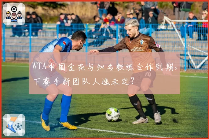 WTA中国金花与知名教练合作到期,下赛季新团队人选未定?