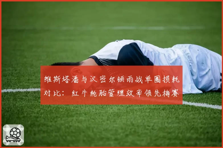 维斯塔潘与汉密尔顿雨战单圈损耗对比：红牛轮胎管理效率领先梅赛德斯0.3秒