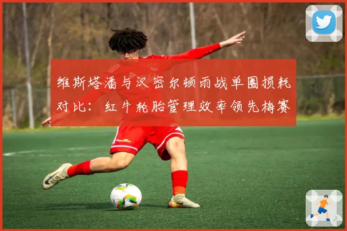 维斯塔潘与汉密尔顿雨战单圈损耗对比：红牛轮胎管理效率领先梅赛德斯0.3秒